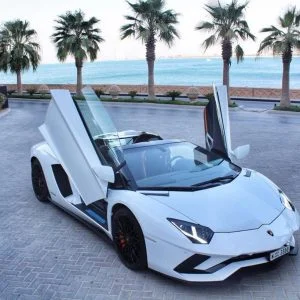 Lamborghini Aventador RoadSter 2019